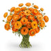 Next Day Delivery - Butterfly Ranunculus Orange Charis 40-50 cm - 120 Stems [LIMITED]