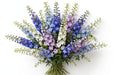 Next Day Delivery - DELPHINIUM EL PARAMO ASSORTED 120cm 5st - Assorted - 60 Stems [LIMITED]