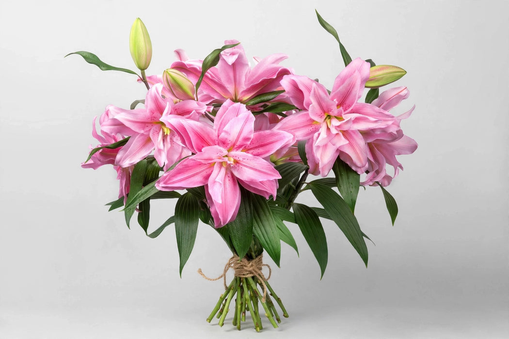 Roselily Pink - 60 Stems/Box