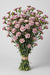 Mini Carnations - Moonique (10 Bunches Bu)