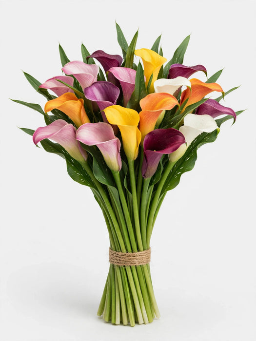 Calla Mini Assorted 50CM - 80 Stems/Box