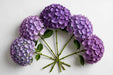 Next Day Delivery - HYDRANGEA PURPLE 60cm 22cm - Purple - 20 Stems [LIMITED]