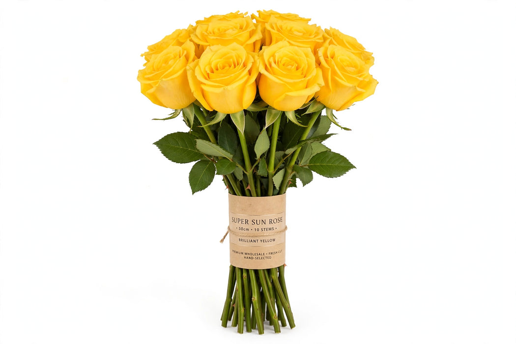 Roses Super Sun 50cm 100ST/BX