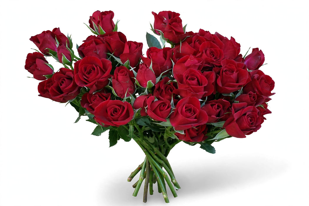 Next Day Delivery - ROSE SPRAY RUBICON 50cm 10st - Red - 100 Stems [LIMITED]