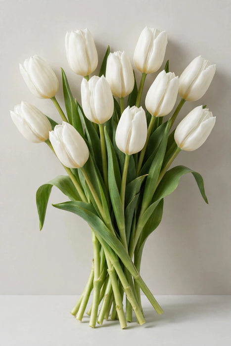 Tulip Collective - Inzell 35cm 25gr (50 STEMS / BX)