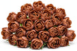 Tulip Collective - Dyed Double Brownies 37Cm 35Gr - Brown - 150 Stems