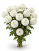 Next Day Delivery - DISBUD CREMON GAGARIN 70cm 10st - White - 80 Stems [LIMITED]