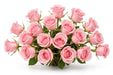Next Day Delivery - ROSE HERMOSA 50cm 4,5cm 25st - Pink - 100 Stems [LIMITED]