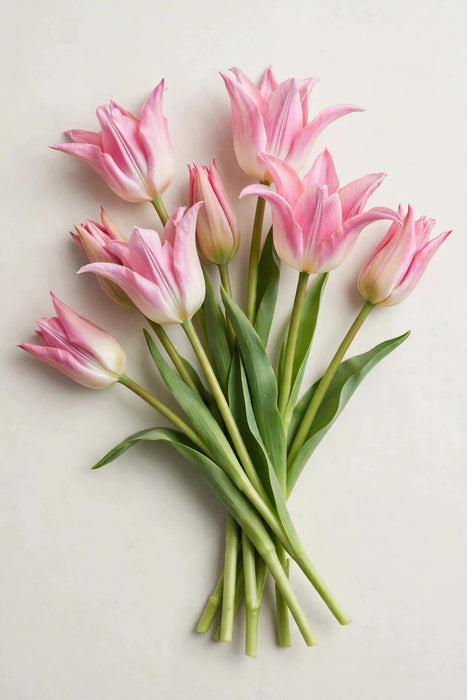 Tulip Collective - Lily Flowered Crown Of Dynasty 37cm 35gr (50 STEMS / BX)