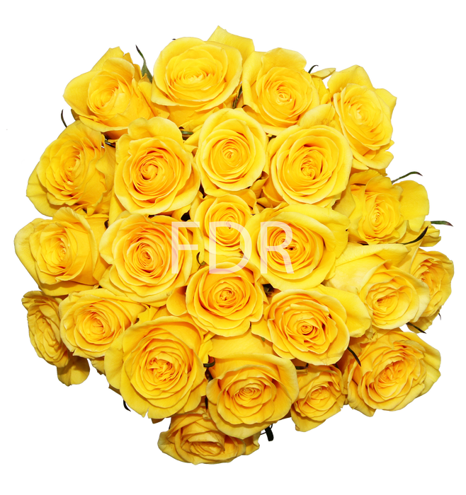 Smart Buy $2.25/Stem Farm Direct Brighton Roses (100 STEMS) - U.S. Delivery Coast to Coast