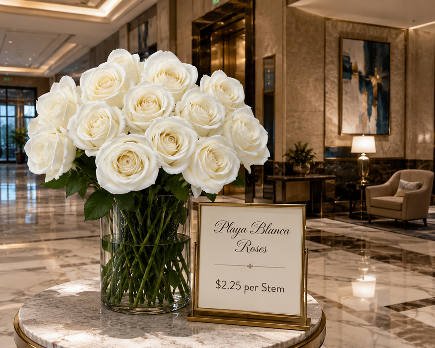Smart Buy $2.25/Stem Farm Direct Playa Blanca Roses (100 STEMS) - U.S. Delivery Coast to Coast
