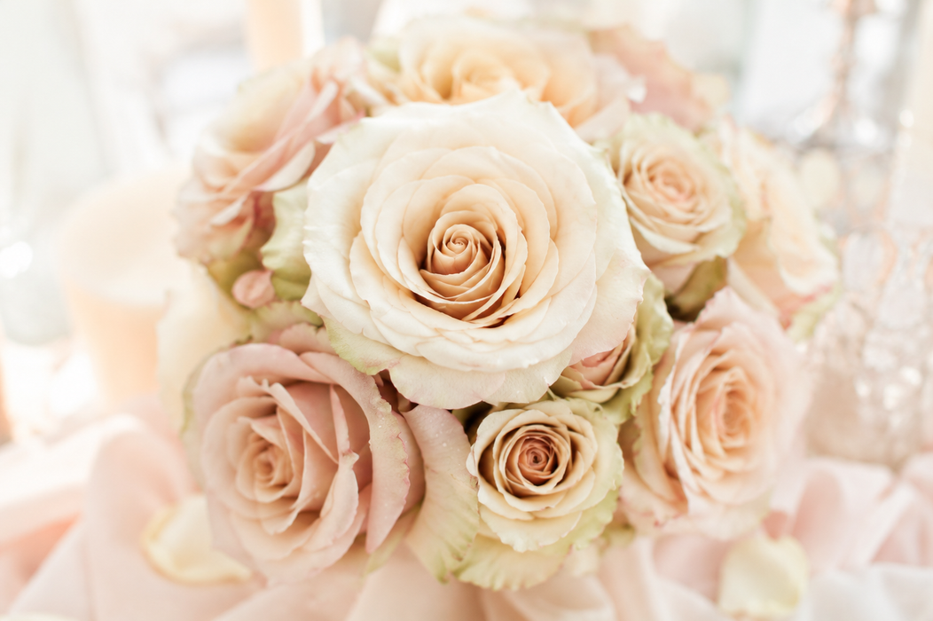 Smart Buy $2.25/Stem Farm Direct Quicksand Roses (100 STEMS) - U.S. Delivery Coast to Coast