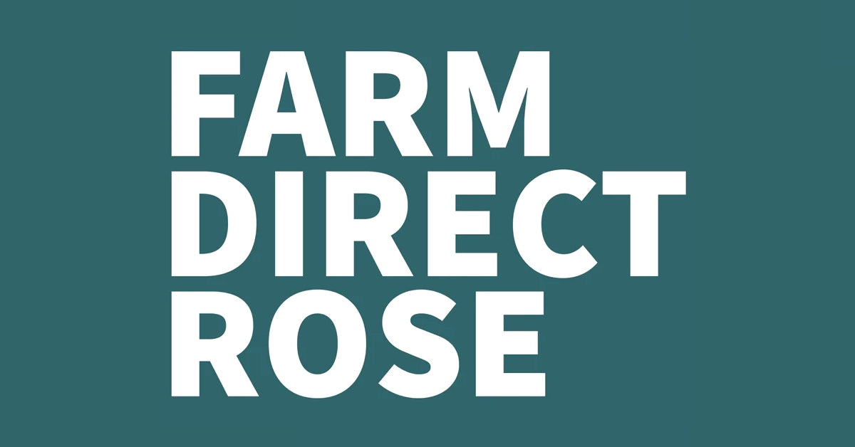 レンローズ様 リクエスト Orange Roses — Farm Direct Rose