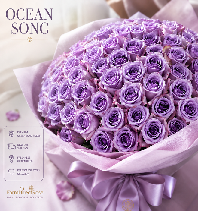 Smart Buy $2.25/Stem Farm Direct Ocean Song Roses (100 STEMS) - U.S. Delivery Coast to Coast