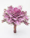 Kale Purple Feather Queen 50ST/BX