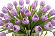 Tulip Collective - Dyed Frost Pastel Violet 37Cm 35Gr - Purple - 150 Stems