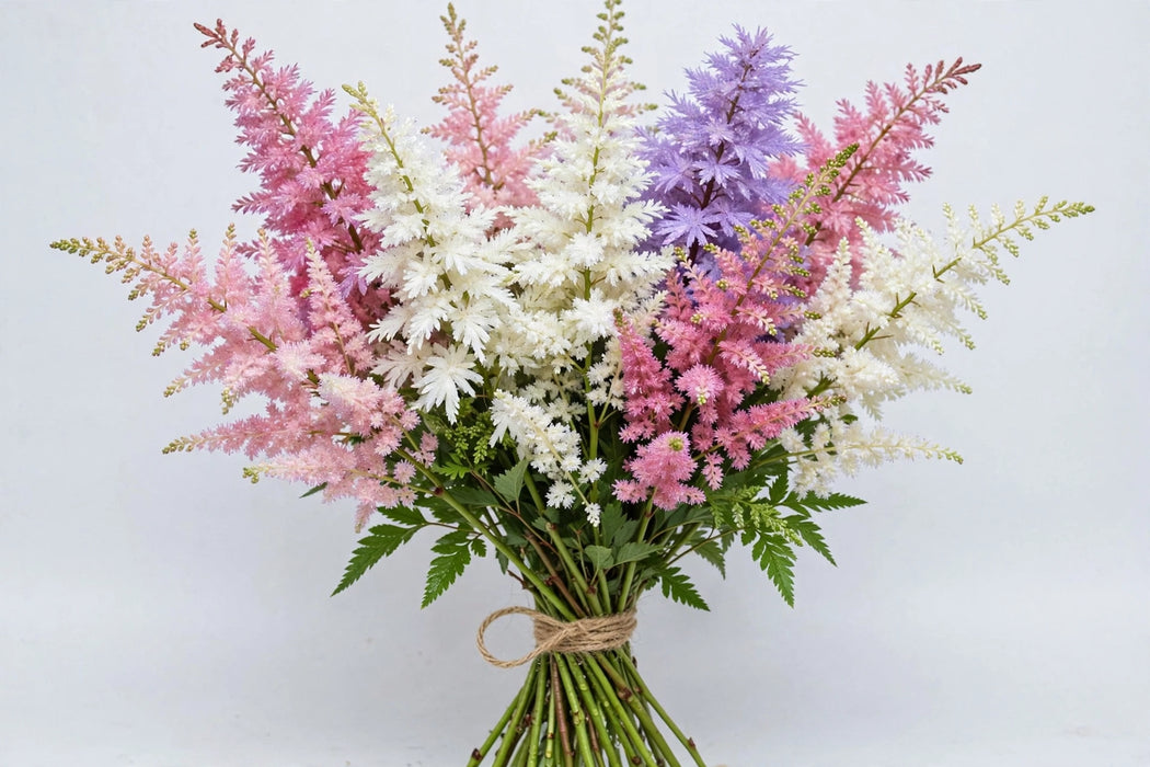 Astilbe Assorted - 120 Stems/Box