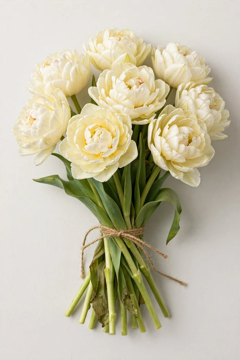 Tulip Collective - Double Avant Garde 37cm 30gr (50 STEMS / BX)
