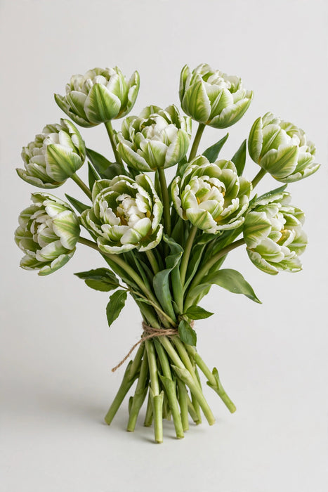 Tulip Collective - Dyed Double Dusty Olive 37cm 35gr (50 STEMS / BX)