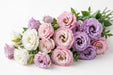 Next Day Delivery - LISIANTHUS MARIACHI ASSORTED 70cm 4-6 BL 10st - Assorted - 80 Stems [LIMITED]