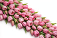 Tulip Collective - Assorted Pink In Paper 35Cm 30Gr - Assorted - 150 Stems