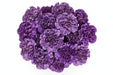 Next Day Delivery - CARNATION MOONSHADE SELECT 70cm 20st - Purple - 200 Stems [LIMITED]