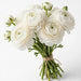 Next Day Delivery - RANUNCULUS WHITE 40cm 10st - White - 120 Stems [LIMITED]