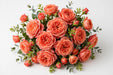 Next Day Delivery - ROSE MANDARIN EXPRESSION 50cm 4cm 25st - Coral - 100 Stems [LIMITED]