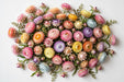 Next Day Delivery - STRAW FLOWER CANDY MIX 70cm 10st - Mixed - 120 Stems [LIMITED]