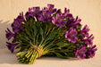 Next Day Delivery - Alstro Select Purple 18BU/BX