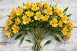 Next Day Delivery - Alstro Select Yellow 18BU/BX