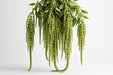 Hanging Green Amaranthus - cascading green tassel plumes, 60CM, 10 bunches per box