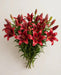 Lilies L.a Red 3/5bl 80ST/BX