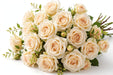 Next Day Delivery - ROSE CANDLELIGHT 50cm 5,5cm 25st - Cream - 100 Stems [LIMITED]