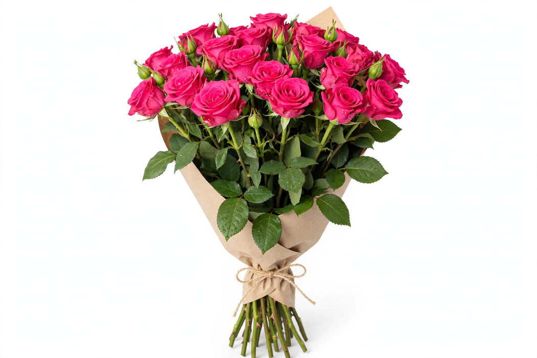 Roses Explorer 60CM 100ST/BX