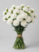 Carnation White Moonlight - 250 Stems