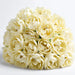 Tulip Collective - Double Avant Garde 37Cm 30Gr - Cream - 150 Stems