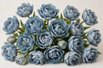 Tulip Collective - Dyed Double Dusty Blue 37Cm 35Gr - Blue - 150 Stems