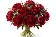 Next Day Delivery - Peonies Red Christmas Velvet 50-60 cm - 80 Stems [LIMITED]