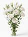 Next Day Delivery - Lisianthus White 60CM 8BU/BX
