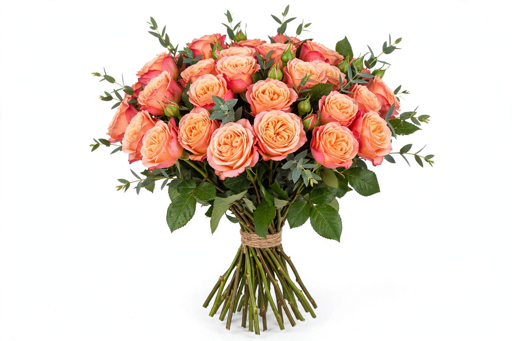 Garden Roses Kahala 100ST/BX