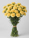 Carnation Yellow Wedding - 250 Stems
