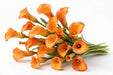 Next Day Delivery - CALLA MINI MANGO 40cm 10st - Orange - 80 Stems [LIMITED]