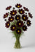 Next Day Delivery - Cosmo Black Beauty 50CM 200ST/BX