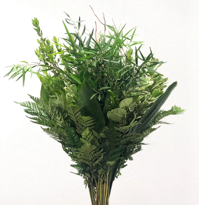 WHOLESALE GREENERY BOUQUETS - 300+ STEMS ULTIMATE 10 BUNCH PACK - EXOTIC
