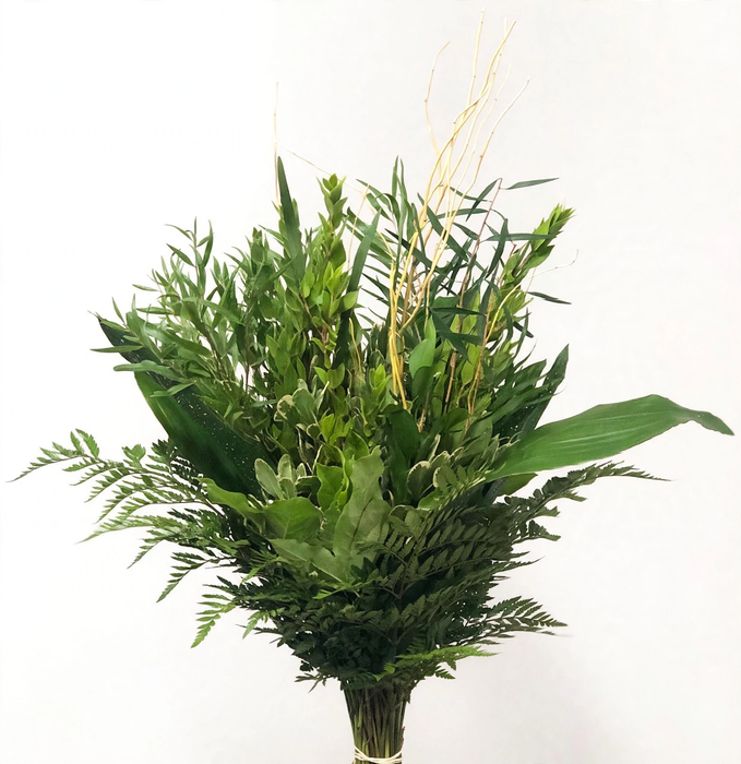 WHOLESALE GREENERY BOUQUETS - 300+ STEMS ULTIMATE 10 BUNCH PACK - TIFFANY