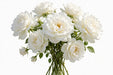 Next Day Delivery - ROSE MAYRA WHITE 60cm 6cm 25st - White - 100 Stems [Limited]