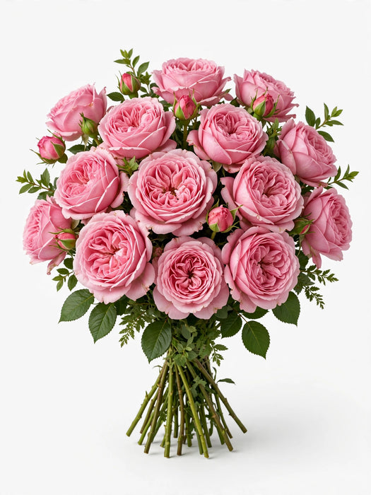 Next Day Delivery - ROSE PINK EXPRESSION 60cm 5,5cm 25st - Pink - 100 Stems [LIMITED]