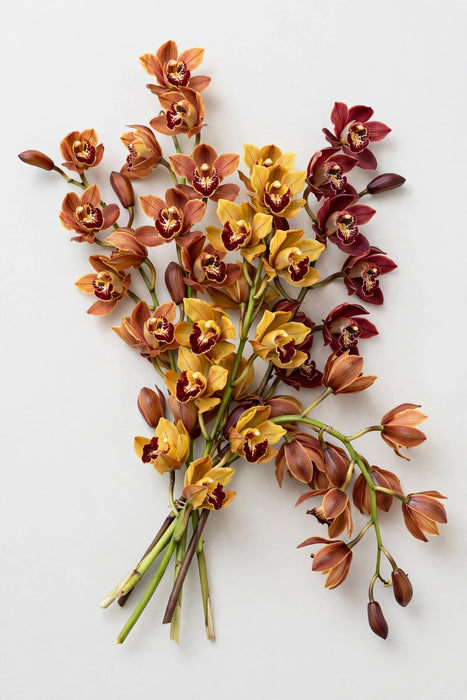 Next Day Delivery - Cymb. Mini Fall Mix 40CM 20STM/BX