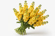 Next Day Delivery - STOCK YELLOW 70cm 10st X80 - Yellow - 80 Stems [LIMITED]
